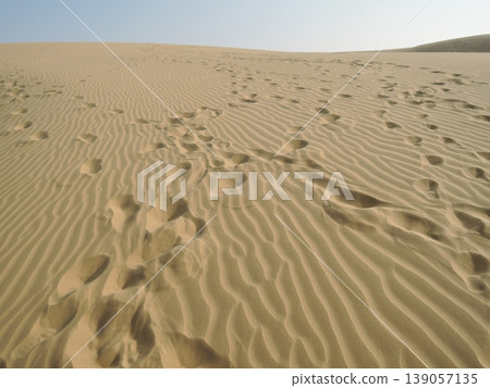 Enjoy a camel safari in the Thar Desert outside Jaisalmer, Rajasthan, India. Enjoy a camel safari in the Thar Desert outside Jaisalmer, Rajasthan, India. 139057135