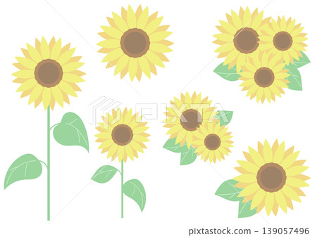向日葵套裝插圖,明亮的夏日花卉素材 向日葵套裝插圖,明亮的夏日花卉素材 139057496