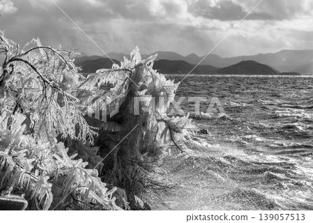 Ice spray from withered branches and sea spray at Lake Inawashiro, a-3, monochrome. Ice spray from withered branches and sea spray at Lake Inawashiro, a-3, monochrome. 139057513