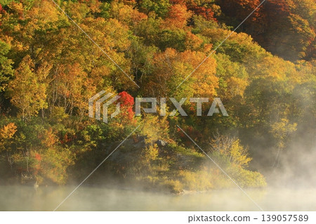 Autumn foliage reflected in the pond Autumn foliage reflected in the pond 139057589