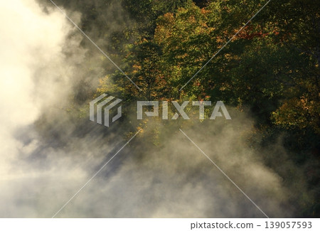 Autumn foliage reflected in the pond Autumn foliage reflected in the pond 139057593
