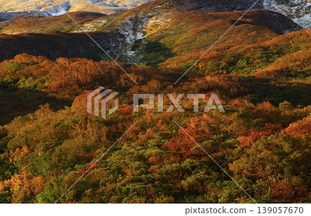 秋季的鳥海山,正值秋葉最絢爛的時刻。 秋季的鳥海山,正值秋葉最絢爛的時刻。 139057670
