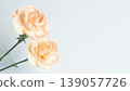 Carnation background frame - Mother's Day, Father's Day, Copy space 139057726