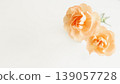 Carnation background frame - Mother's Day, Father's Day, Copy space 139057728