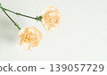 Carnation background frame - Mother's Day, Father's Day, Copy space 139057729