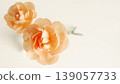 Beauty background image, beauty frame, fresh carnations, natural 139057733