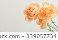 Carnation background frame - Mother's Day, Father's Day, Copy space 139057734