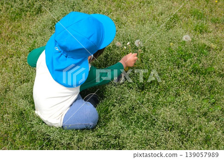 A boy found dandelion fluff on the lawn. A boy found dandelion fluff on the lawn. 139057989