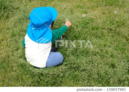A child sits on the grass in the park, picking dandelion fluff. A child sits on the grass in the park, picking dandelion fluff. 139057991