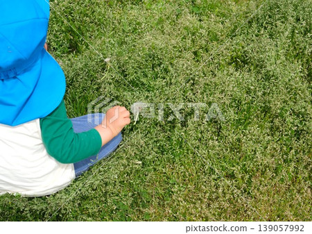 A child's hand picking dandelion fluff while sitting on the grass. A child's hand picking dandelion fluff while sitting on the grass. 139057992