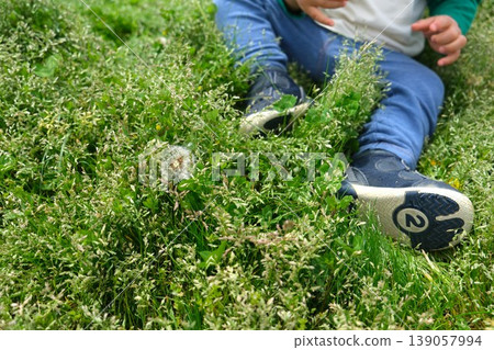 A boy sitting in the grass in the park, surrounded by dandelion fluff. 139057994