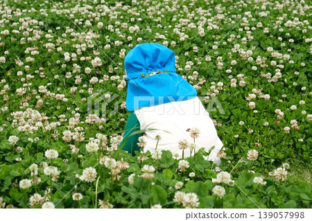 The back view of a child sitting in a field of white clover flowers. The back view of a child sitting in a field of white clover flowers. 139057998