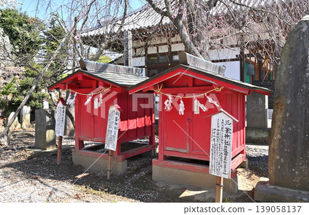 岩槻散步:稻荷神社、南平野 岩槻散步:稻荷神社、南平野 139058137