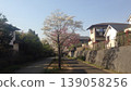 Tree trees 139058256