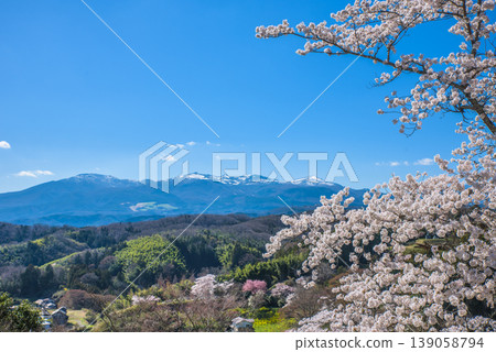 阿達塔拉山脈和霞之城公園盛開的櫻花，霞之城公園是日本百大賞櫻勝地之一。 139058794