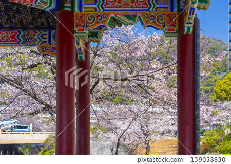 蓮綠亭與櫻花：生田川沿岸的櫻花美景 139058830
