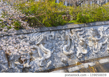 百龍奇水與櫻花:生田川沿岸的櫻花美景 百龍奇水與櫻花:生田川沿岸的櫻花美景 139058839