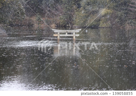 甲賀市的旅遊景點：位於「那坂禦池寺自然公園」內的弁天池水下鳥居。 139058855