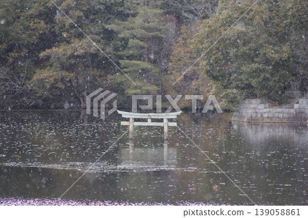 A tourist attraction in Koka City: the submerged torii gate at Benten Pond, located in the "Nasaka Oikeji Nature Park". A tourist attraction in Koka City: the submerged torii gate at Benten Pond, located in the "Nasaka Oikeji Nature Park". 139058861