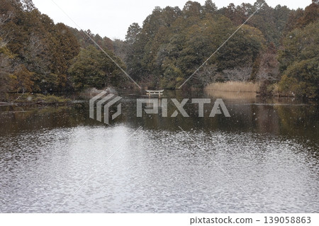 A tourist attraction in Koka City: the submerged torii gate at Benten Pond, located in the "Nasaka Oikeji Nature Park". A tourist attraction in Koka City: the submerged torii gate at Benten Pond, located in the "Nasaka Oikeji Nature Park". 139058863