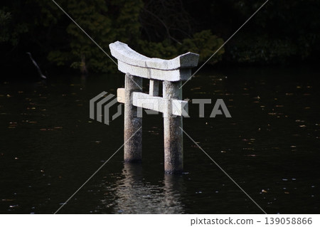 甲賀市的旅遊景點：位於「那坂禦池寺自然公園」內的弁天池水下鳥居。 139058866