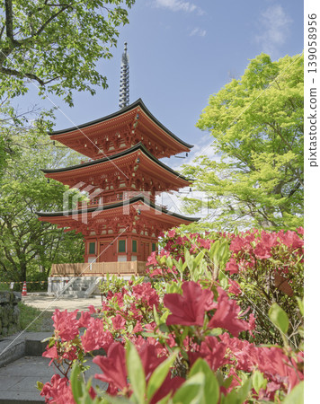 岡寺的多層寶塔,杜鵑花正在盛開。 岡寺的多層寶塔,杜鵑花正在盛開。 139058956