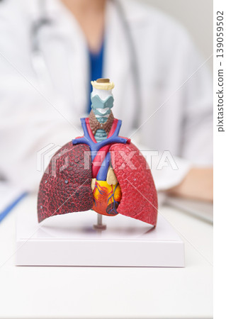 Doctor with Respiratory system anatomy for Diseases. Lung Cancer, Asthma, Chronic Obstructive Pulmonary or COPD, Bronchitis, Emphysema, Cystic Fibrosis, Bronchiectasis, Pneumonia and Pleural Effusion 139059502