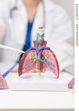 Doctor with Smoker Lung anatomy with magnifying glass. Lung Cancer, Asthma, Chronic Obstructive Pulmonary or COPD, Bronchitis, Emphysema, Cystic Fibrosis, Bronchiectasis, Pneumonia and world Lung day 139059503