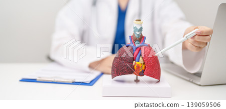 Doctor with Smoker and normal Lung anatomy for Disease. Lung Cancer, Asthma, Chronic Obstructive Pulmonary or COPD, Bronchitis, Emphysema, Cystic Fibrosis, Bronchiectasis, Pneumonia and world Lung day 139059506