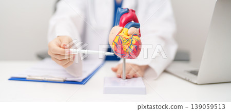 Doctor with human Heart anatomy model. Cardiovascular Diseases, Atherosclerosis, Hypertensive Heart, Valvular Heart, Aortopulmonary window, world Heart day and health concept Doctor with human Heart anatomy model. Cardiovascular Diseases, Atherosclerosis, Hypertensive Heart, Valvular Heart, Aortopulmonary window, world Heart day and health concept 139059513