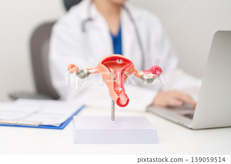 Doctor with Uterus and Ovaries anatomy model. Ovarian and Cervical cancer, Cervix disorder, Endometriosis, Hysterectomy, Uterine fibroids, Reproductive system, Pregnancy and health concept Doctor with Uterus and Ovaries anatomy model. Ovarian and Cervical cancer, Cervix disorder, Endometriosis, Hysterectomy, Uterine fibroids, Reproductive system, Pregnancy and health concept 139059514