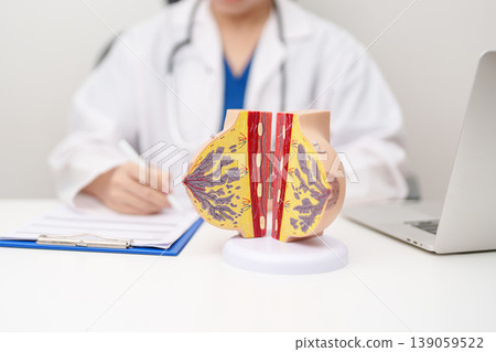 Doctor with Breast Anatomy model. Breast Augmentation Surgery, October Breast Cancer Awareness month, implant, Diagnosis, Beauty woman enlargement and medical education concept Doctor with Breast Anatomy model. Breast Augmentation Surgery, October Breast Cancer Awareness month, implant, Diagnosis, Beauty woman enlargement and medical education concept 139059522