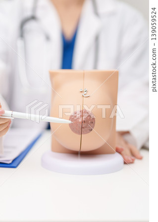 Doctor with Breast Anatomy model. Breast Augmentation Surgery, October Breast Cancer Awareness month, implant, Diagnosis, Beauty woman enlargement and medical education concept Doctor with Breast Anatomy model. Breast Augmentation Surgery, October Breast Cancer Awareness month, implant, Diagnosis, Beauty woman enlargement and medical education concept 139059524