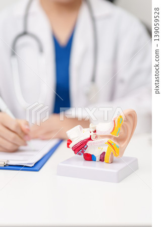 Doctor with human Ear anatomy model. Ear disease, Atresia, Otitis Media, Pertorated Eardrum, Meniere syndrome, otolaryngologist, Ageing Hearing Loss, Schwannoma and Healthcare medical concept Doctor with human Ear anatomy model. Ear disease, Atresia, Otitis Media, Pertorated Eardrum, Meniere syndrome, otolaryngologist, Ageing Hearing Loss, Schwannoma and Healthcare medical concept 139059528
