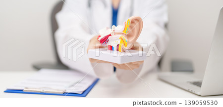 Doctor with human Ear anatomy model. Ear disease, Atresia, Otitis Media, Pertorated Eardrum, Meniere syndrome, otolaryngologist, Ageing Hearing Loss, Schwannoma and Healthcare medical concept 139059530