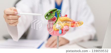 Doctor with human Pancreatitis anatomy model with Pancreas, Gallbladder, Bile Duct, Duodenum, Small intestine. Pancreatic cancer, Acute and Chronic pancreatitis, Digestive system and Health concept Doctor with human Pancreatitis anatomy model with Pancreas, Gallbladder, Bile Duct, Duodenum, Small intestine. Pancreatic cancer, Acute and Chronic pancreatitis, Digestive system and Health concept 139059532