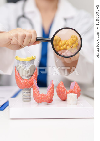 Doctor with human Thyroid anatomy model. Hyperthyroidism, Hypothyroidism, Hashimoto Thyroiditis, Thyroid Tumor and Cancer, Postpartum, Papillary Carcinoma and Health concept Doctor with human Thyroid anatomy model. Hyperthyroidism, Hypothyroidism, Hashimoto Thyroiditis, Thyroid Tumor and Cancer, Postpartum, Papillary Carcinoma and Health concept 139059549