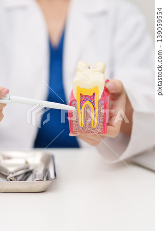 Dentist with tooth Anatomy model. Oral Teeth decay and disease, Scrape off tartar. March Oral health, Dentist Day, False Teeth. Toothache and Children Dental Health Month and Orthodontic Health Day Dentist with tooth Anatomy model. Oral Teeth decay and disease, Scrape off tartar. March Oral health, Dentist Day, False Teeth. Toothache and Children Dental Health Month and Orthodontic Health Day 139059554
