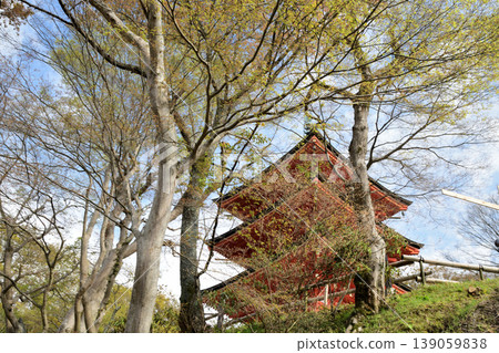 Three-story pagoda (Oka-dera Temple) [Asuka Village, Takaichi District, Nara Prefecture] 139059838