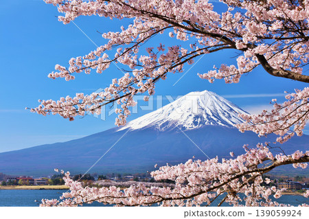 日本的春天富士和櫻花 日本的春天富士和櫻花 139059924