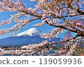 日本的春天富士和櫻花 139059936