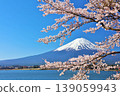 日本的春天富士和櫻花 139059943