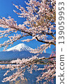 日本的春天富士和櫻花 139059953