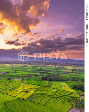 Beautiful morning view in Indonesia, panoramic landscape of rice fields with mountain ranges and clear sky Beautiful morning view in Indonesia, panoramic landscape of rice fields with mountain ranges and clear sky 139059976