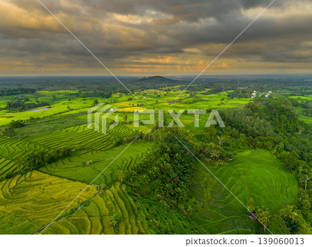 Beautiful morning view in Indonesia, panoramic landscape of rice fields with mountain ranges and clear sky 139060013