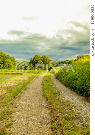 A rural landscape of farm roads and rice paddies, under the summer sky. A rural landscape of farm roads and rice paddies, under the summer sky. 139060086