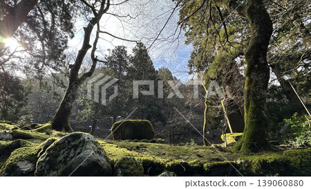 永平寺的苔蘚覆蓋的岩石 ☆mar_lapin 永平寺的苔蘚覆蓋的岩石 ☆mar_lapin 139060880
