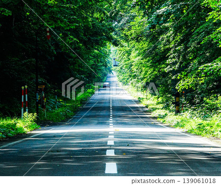 Hokkaido Prefectural Road 52, a straight road leading to Lake Mashu in Teshikaga Town, Hokkaido, in the summer. Hokkaido Prefectural Road 52, a straight road leading to Lake Mashu in Teshikaga Town, Hokkaido, in the summer. 139061018