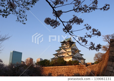 大阪城公園、大阪城、內護城河、外護城河、中央區、大阪市、大阪城公園站、西之丸庭園、森之宮站、谷町四丁目站 139061131