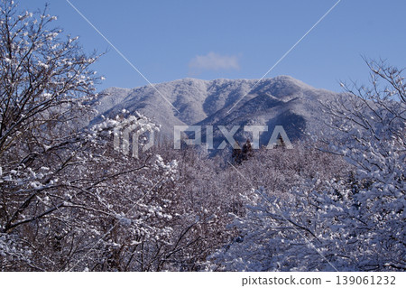 Snow-covered Fukuda-gashira, fresh snow 139061232